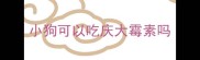 小狗可以吃庆大霉素吗