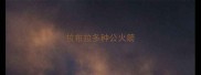 拉布拉多种公火箭