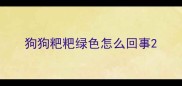 狗狗粑粑绿色怎么回事