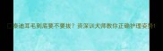 泰迪耳毛到底要不要拔资深训犬师教你正确护理姿势