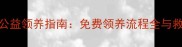 济南金毛犬公益领养指南免费领养流程全与救助机构推荐