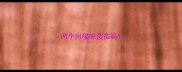 两个月猫咪疫苗吗
