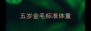 五岁金毛标准体重