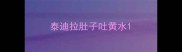泰迪拉肚子吐黄水