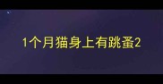 1个月猫身上有跳蚤