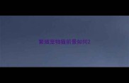 繁殖宠物猫前景如何