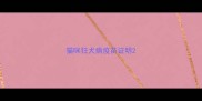 猫咪狂犬病疫苗证明