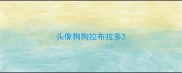 头像狗狗拉布拉多