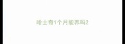 哈士奇1个月能养吗