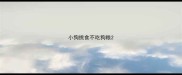 小狗挑食不吃狗粮