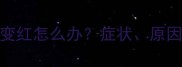 拉布拉多犬牙齿变红怎么办症状原因及专业护理指南