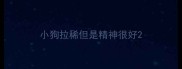 小狗拉稀但是精神很好
