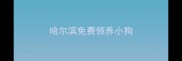 哈尔滨免费领养小狗