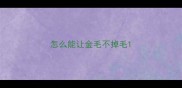 怎么能让金毛不掉毛