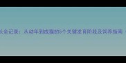 英短母猫成长全记录从幼年到成猫的5个关键发育阶段及饲养指南附时间表
