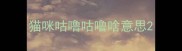猫咪咕噜咕噜啥意思