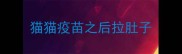 猫猫疫苗之后拉肚子
