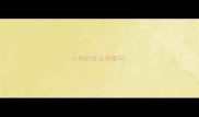 小狗的舌头有毒吗