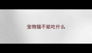 宠物猫不能吃什么