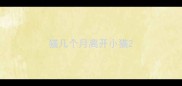 猫几个月离开小猫