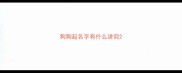 狗狗起名字有什么讲究