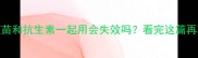 宠物疫苗和抗生素一起用会失效吗看完这篇再决定