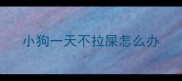 小狗一天不拉屎怎么办