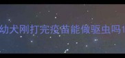 幼犬刚打完疫苗能做驱虫吗