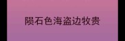 陨石色海盗边牧贵