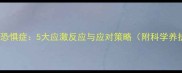 猫咪出门恐惧症5大应激反应与应对策略附科学养护指南