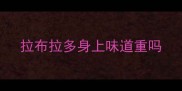 拉布拉多身上味道重吗