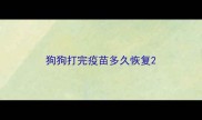 狗狗打完疫苗多久恢复