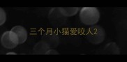 三个月小猫爱咬人