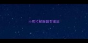小狗拉稀眼睛有眼屎
