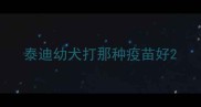 泰迪幼犬打那种疫苗好