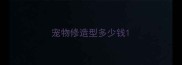 宠物修造型多少钱
