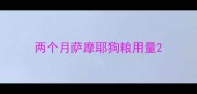 两个月萨摩耶狗粮用量