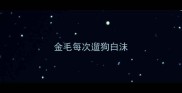 金毛每次遛狗白沫