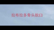 拉布拉多骨头脱臼
