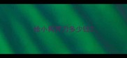 给小狗开刀多少钱