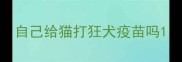 自己给猫打狂犬疫苗吗
