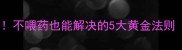 小狗腹泻3天见效不喂药也能解决的5大黄金法则附紧急处理清单