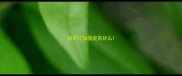 幼犬打加强疫苗好么
