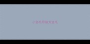 小金毛导盲犬金毛