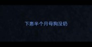 下崽半个月母狗没奶