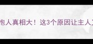 哈士奇爱抱人真相大这3个原因让主人又爱又崩溃