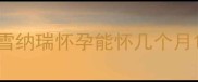 雪纳瑞怀孕能怀几个月