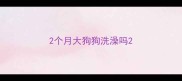 2个月大狗狗洗澡吗