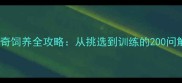 哈士奇饲养全攻略从挑选到训练的200问解答