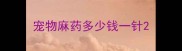 宠物麻药多少钱一针